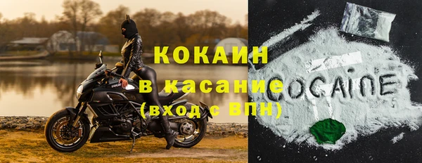 сатива Тобольск