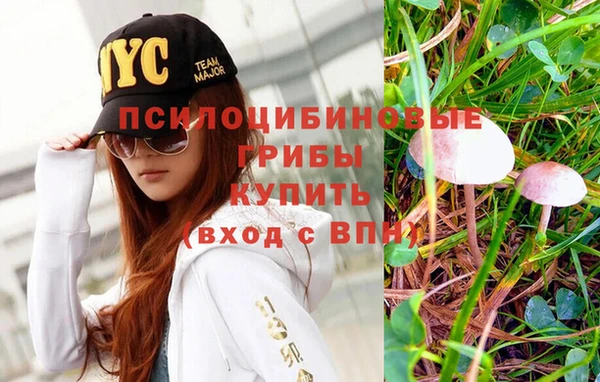 бутират Кулебаки