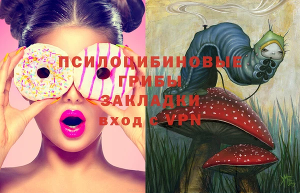 ГАЛЛЮЦИНОГЕННЫЕ ГРИБЫ Краснотурьинск